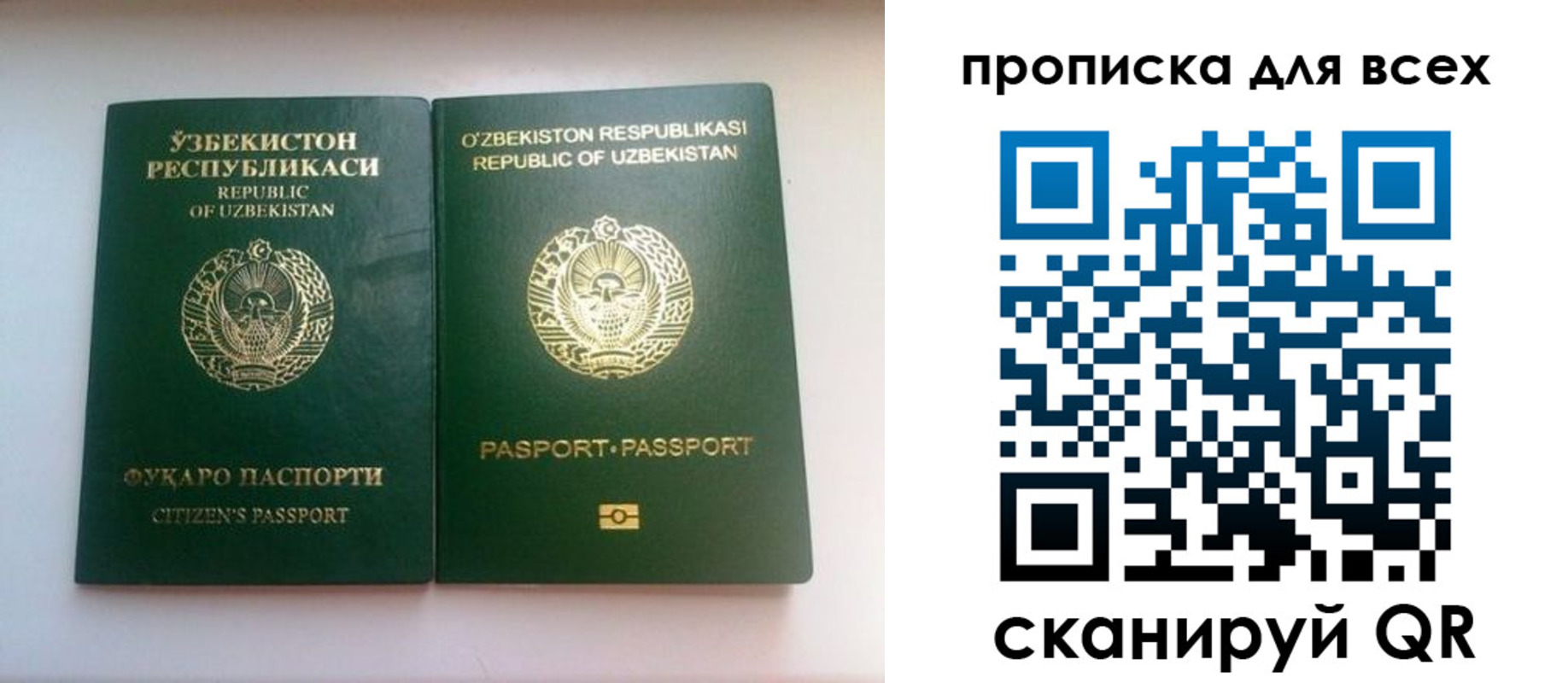 прописка для школы в Невинномысске